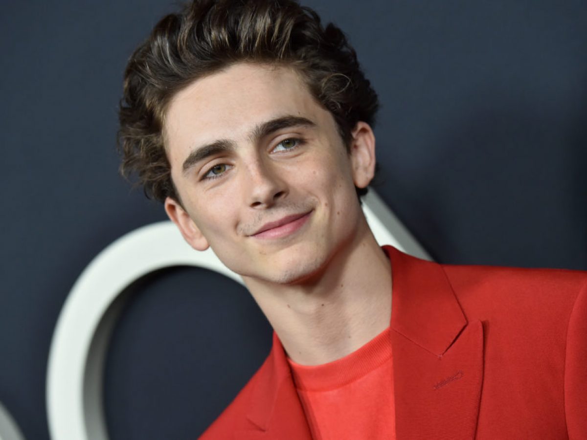 Getting Into Acting - Timothée Chalamet - The Actors Pulse